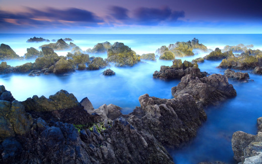 495485 (a): :2560x1600